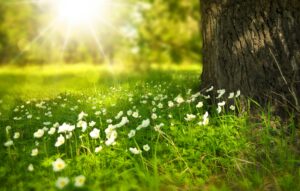 The necessity of rest in our finances
